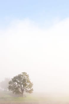 Foggy weather