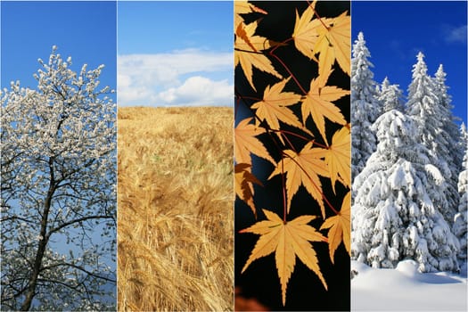 Four seasons