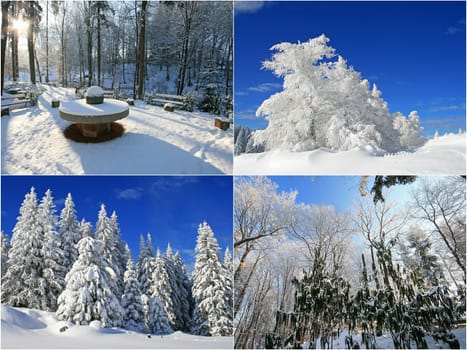 winter or winter snow or winter ice or winter deep snow