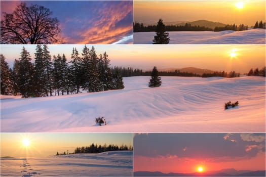 winter or winter snow or winter ice or winter deep snow
