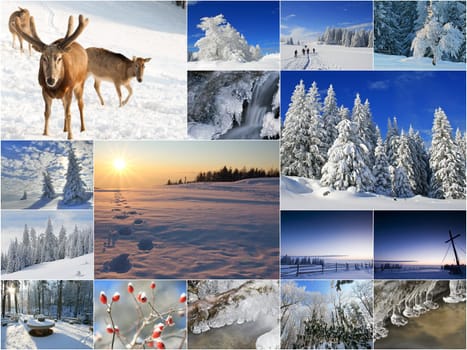 winter or winter snow or winter ice or winter deep snow