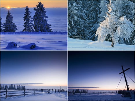 winter or winter snow or winter ice or winter deep snow