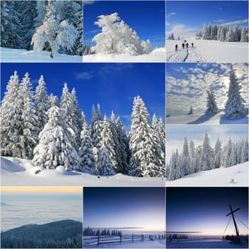winter or winter snow or winter ice or winter deep snow