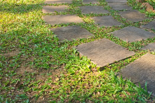 Stone walkway at morning in national park Thailand
