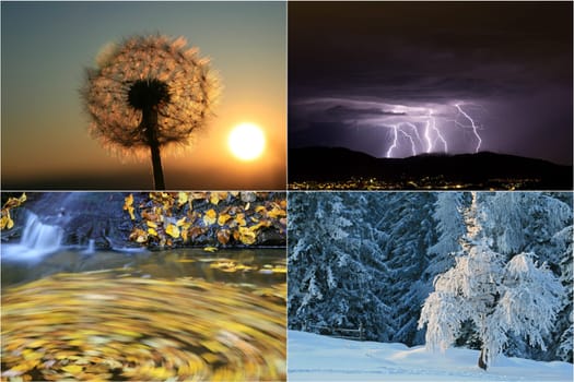 four seasons