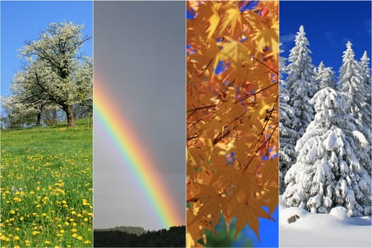 four seasons