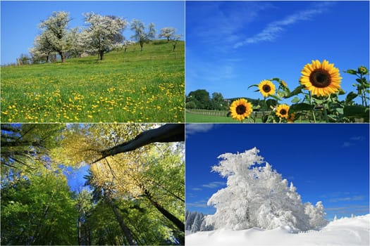 four seasons