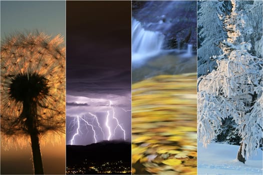 four seasons