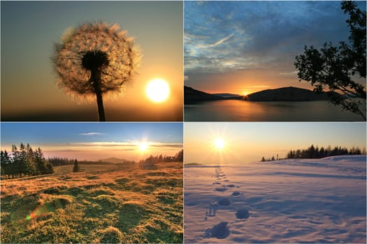 four seasons