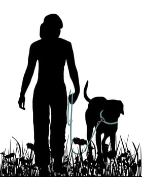 Walking your dog on the meadow