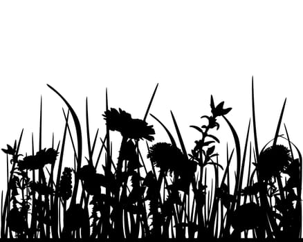Meadow
