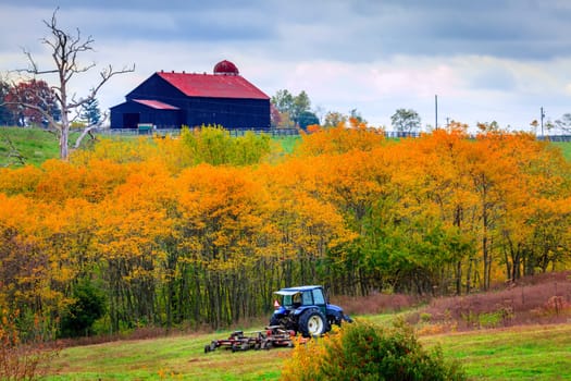 Tractor mowing grass on a farm in Central Kentucky