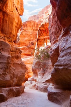 Al-Siq - narrow canyon leading to Petra in Jordan