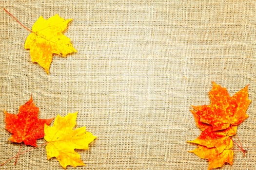 Fall-themed background of burlap and colorful leaves