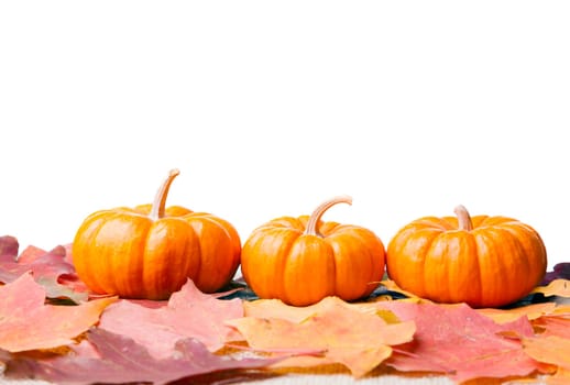 Three decorative miniature pumpkins on dry fall leaves