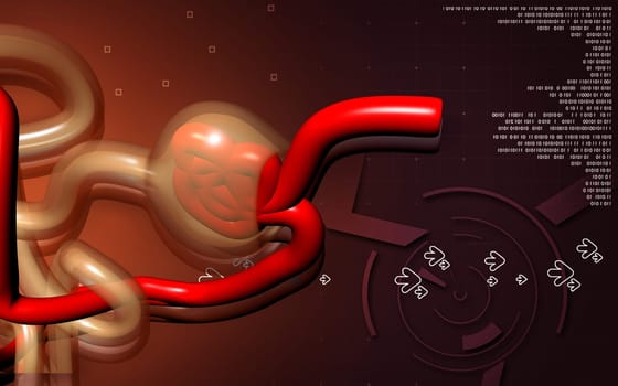 Digital illustration of nephron in colour background
