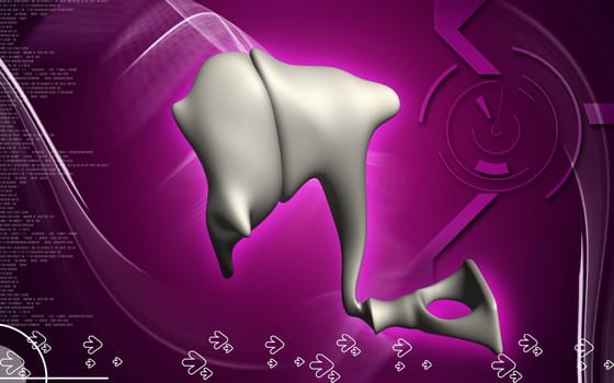 Digital illustration of Stapes in colour background