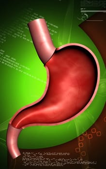 Digital illustration of stomach in colour background