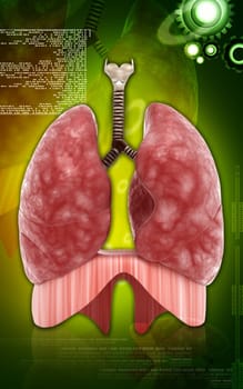 Digital illustration of human lungs in colour background
