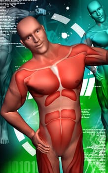 Digital illustration of human body with colour background