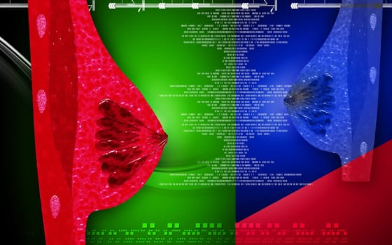 Digital illustration of breast in colour background