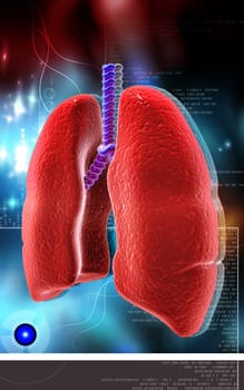 Digital illustration of human lungs in colour background