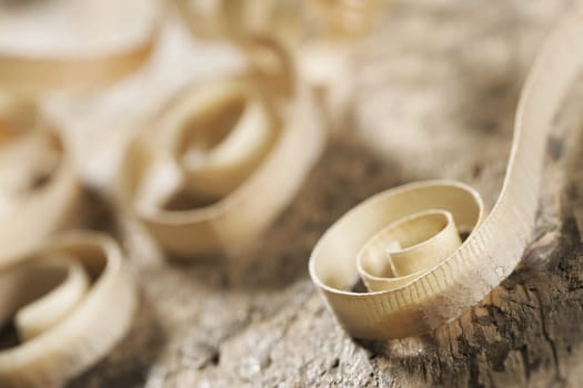 wood shavings with shallow depth of field