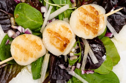 Wooden skewer with fried scallops on a salad with radish and onions