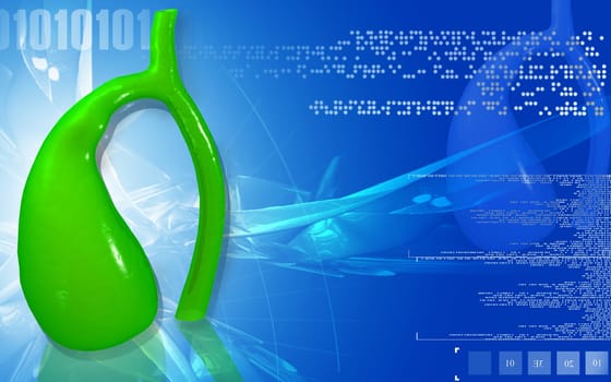 Digital illustration of pancreas in colour background