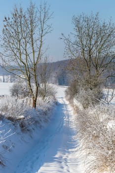 Dirt road in winter