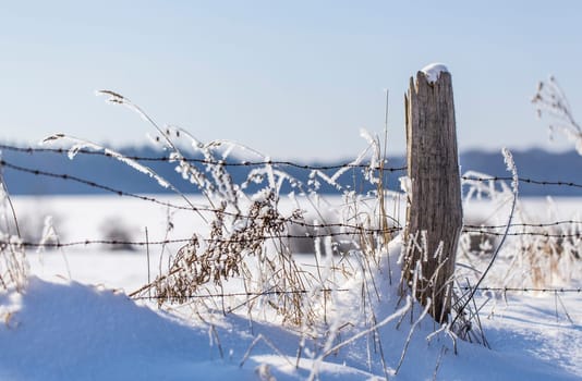 Frosty winter fence