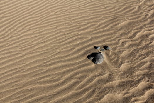 Stones in the desert sand