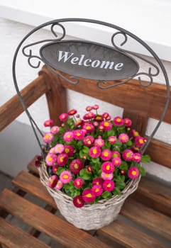 Flowerpot Decoration - Welcome