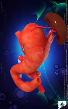 Digital illustration of pancreas and spleen in colour background