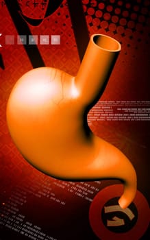 Digital illustration of stomach in colour background