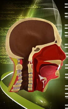 Digital illustration of brain in colour background