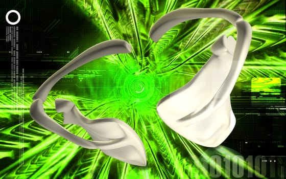 Digital illustration of collar bone in colour background