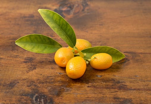 Ripe citrus with a green leaf on a white background