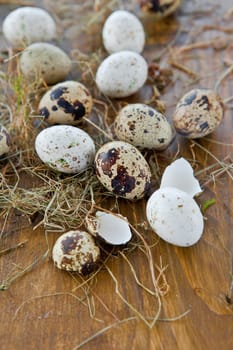 Various raw eggs on straw