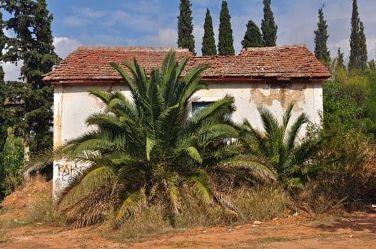 Abandoned house with collapsed roof obscured by overgrown plants.