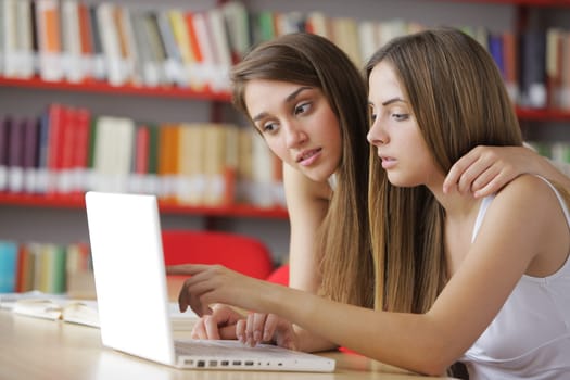 Two friends are looking at the computer