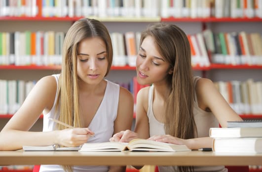 Two student is discussing something in the library