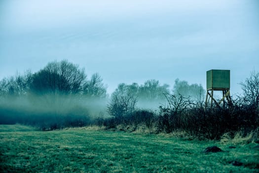 Magical morning mist foliage on a beautiful countryside scenery landscape