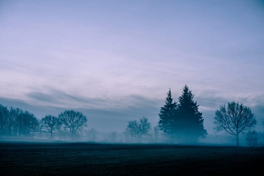 Magical morning mist foliage on a beautiful countryside scenery landscape