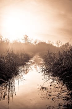 Small idyllic lake on a misty autumn morning