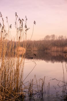 Small idyllic lake on a misty autumn morning