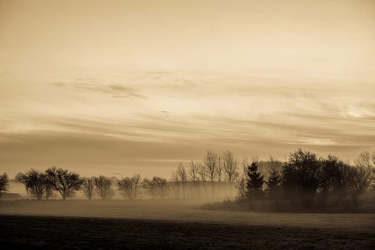Magical morning mist foliage on a beautiful countryside scenery landscape
