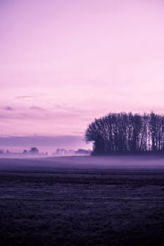 Magical morning mist foliage on a beautiful countryside scenery landscape