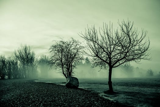 Magical morning mist foliage on a beautiful countryside scenery landscape