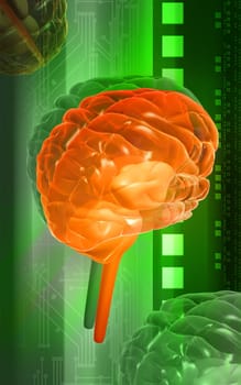 Digital illustration of brain in colour background